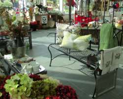 The garden also provides an opportunity for visito The garden also provides an opportunity for visitors to buy seeds or plant saplings from the garden. They can also buy some gifts for their friends or